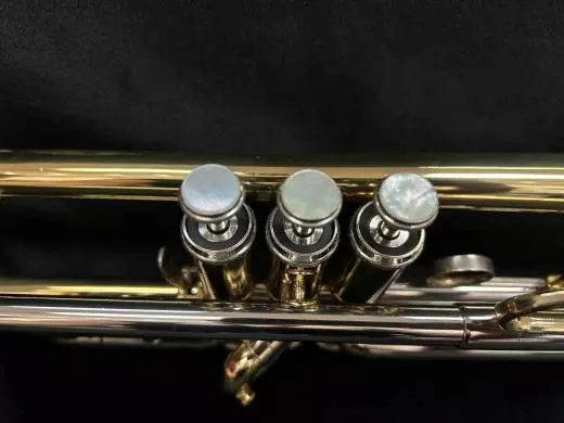 Getzen Trumpet 2