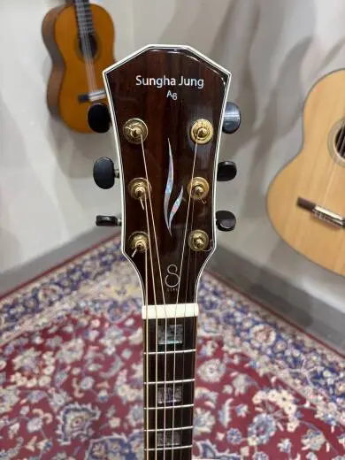 Sire A6 Sungha Jung All Solid Engelmann Spruce & Africa Mahogany Cutaway Acoustic Guitar 2