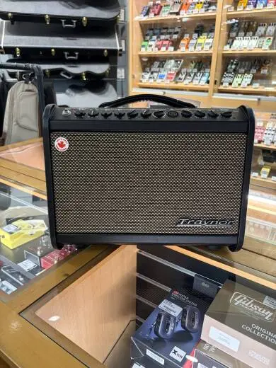 Store Special Product - Traynor - ACOUSTIC COMBO - 65 WATTS/6.5\" S