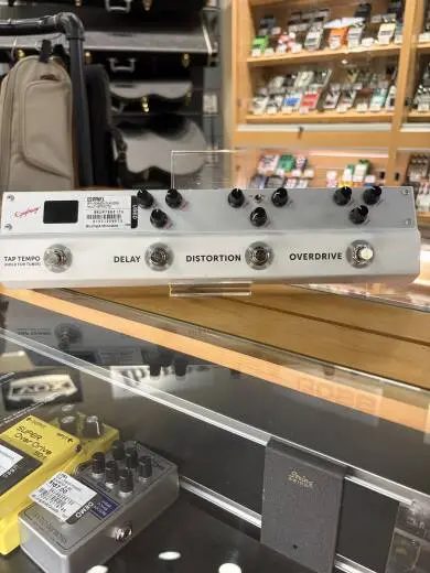 Epiphone - ES1PPMFX