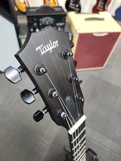 Taylor Guitars - T5Z CLASSIC DLX 2