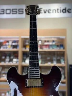 Eastman Guitars - EASTMAN THINLINE GOLDBURST 2