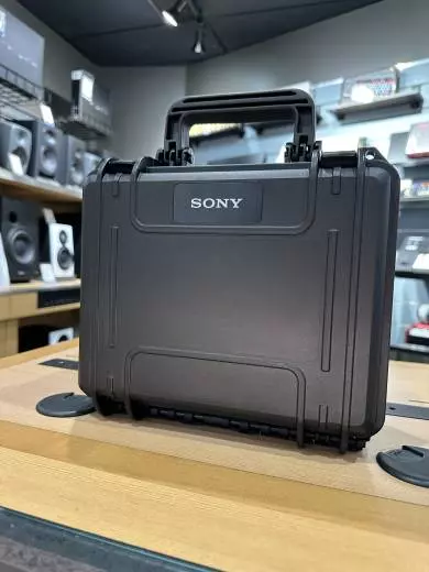 Sony C-100 2