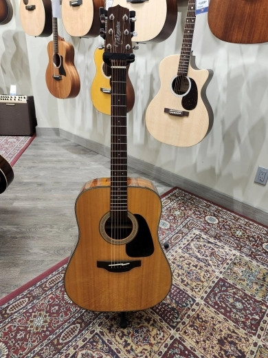 Takamine - GD30-NAT