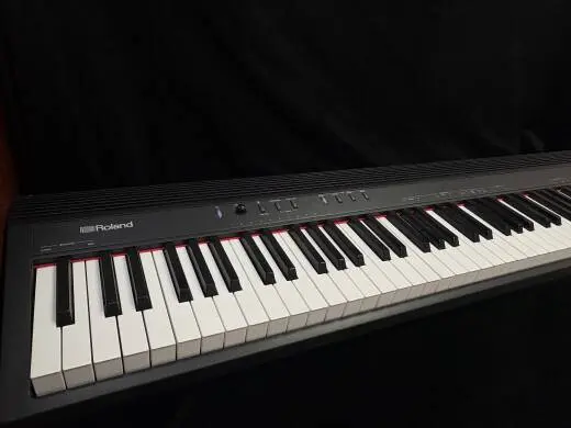 Roland - GO-88P 2