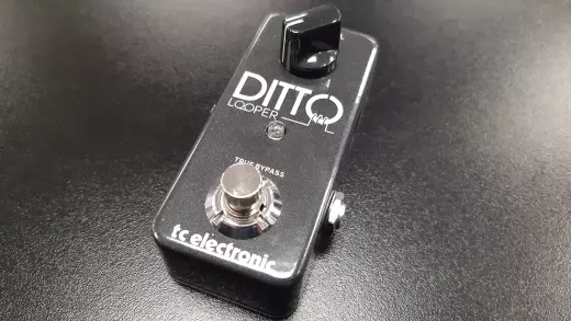 Store Special Product - TC Electronic - DITTO LOOPER