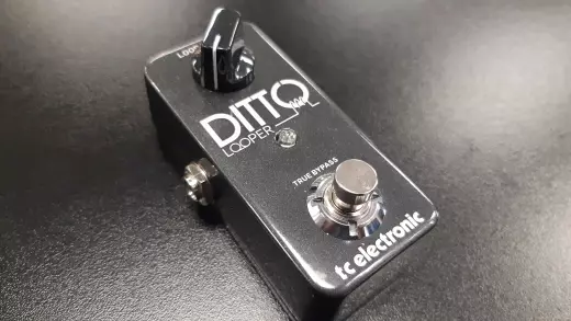 Store Special Product - TC Electronic - DITTO LOOPER