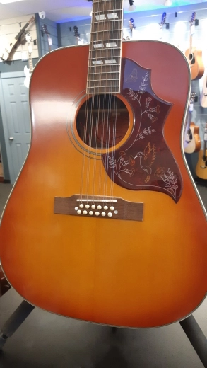 EPI INSPIRED BY HUMMINGBIRD 12 STR-CHR 2