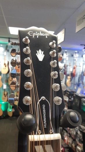 EPI INSPIRED BY HUMMINGBIRD 12 STR-CHR 2