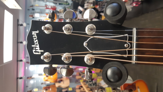 Gibson - AC4519VSNH 2