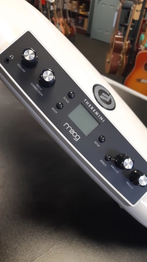 MOOG - THEREMINI (WHITE) 2