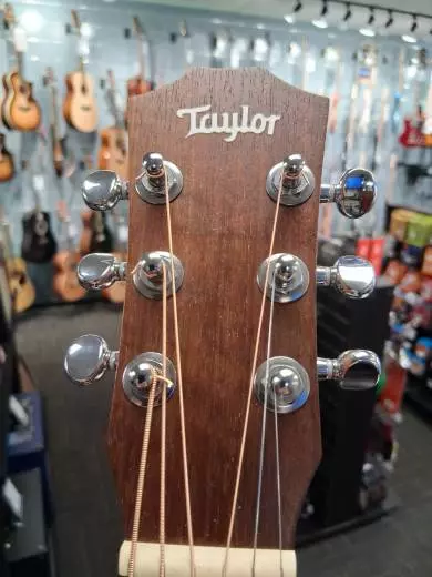 Taylor Baby All Mahogany W/Gigbag 2
