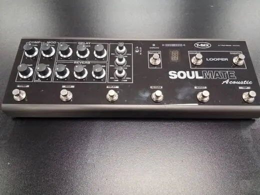 T-REX SOULMATE ACOUSTIC