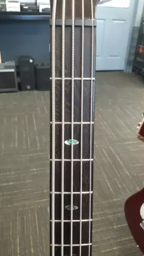 IBANEZ SR5 PREMIUM BLACK ICE LG W/BAG 4