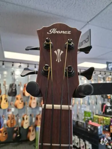 Ibanez Acoustic Bass Mahogany Sunburst 2