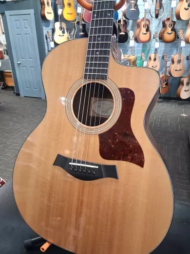TAYLOR GA SITKA/RW GLOSS ES-2 w/GIGBAG
