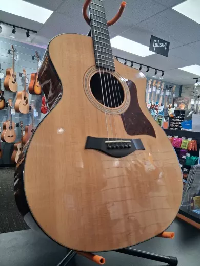 TAYLOR GA SITKA/RW GLOSS ES-2 w/GIGBAG 2
