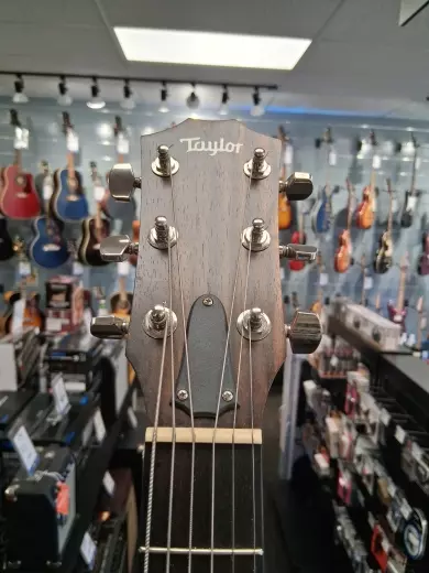 TAYLOR GA SITKA/RW GLOSS ES-2 w/GIGBAG 2