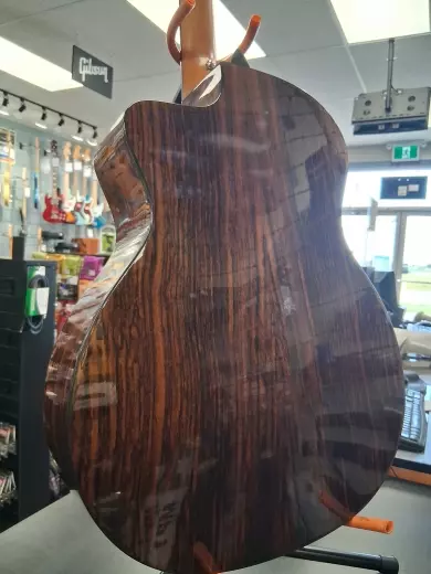 TAYLOR GA SITKA/RW GLOSS ES-2 w/GIGBAG 2