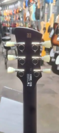 Yamaha - RSE20 RCP 2