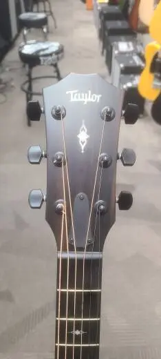 Taylor Guitars - 324CE V9 2