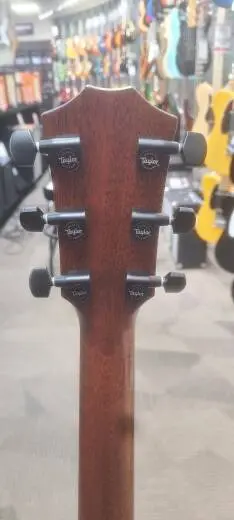 Taylor Guitars - 324CE V9 2