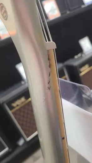 Epiphone - EIGSGSSMNH 2