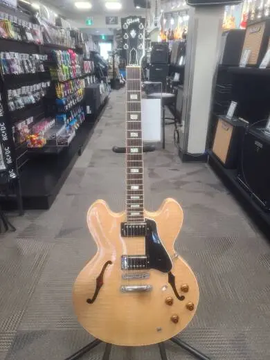 Gibson - ESDT5NANH