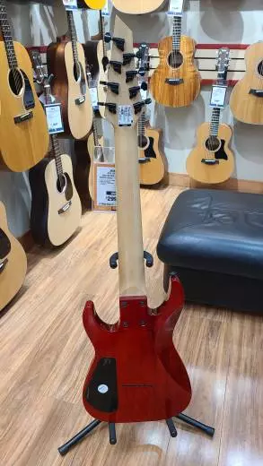Jackson Guitars - 291-0113-590 2