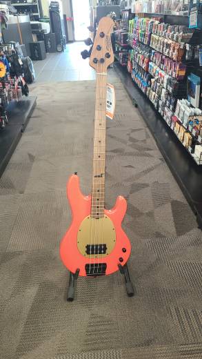 Store Special Product - Sterling by Music Man - WENTZ-FRD-M2