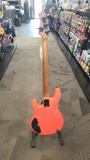 Store Special Product - Sterling by Music Man - WENTZ-FRD-M2