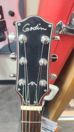 Godin Guitars Radiator Electric Guitar With Gig Bag - Matte Black