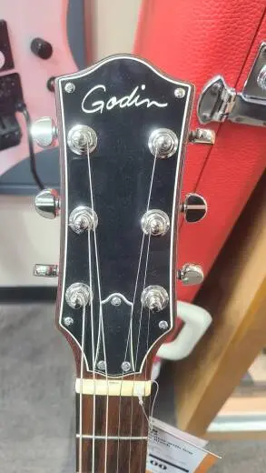 Godin Guitars - G48472 2