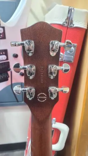 Godin Guitars - G48472 2