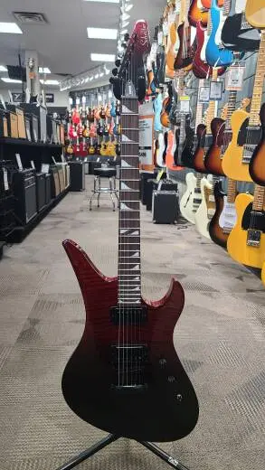 Schecter - 3963-SHC