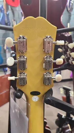Epiphone - EILPTVNH 2