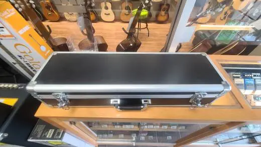 Roland - AE-10 2