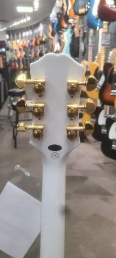 Epiphone - EILCAWGH 2
