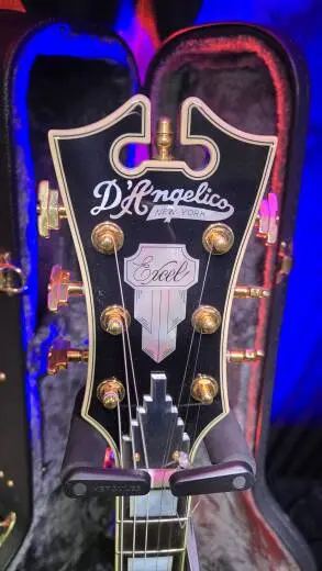 D'angelico Shoreline EX-SS 2