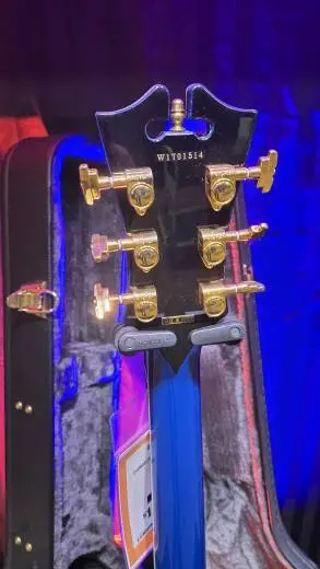 D'angelico Shoreline EX-SS 2