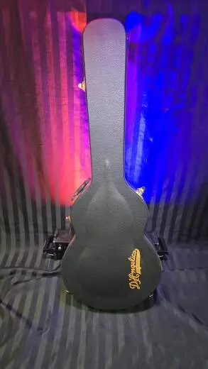 D'angelico Shoreline EX-SS 2