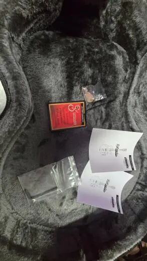 D'angelico Shoreline EX-SS 2