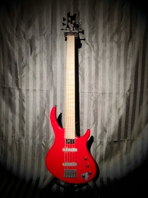 Epiphone Toby Deluxe V Bass - Translucent Red | Long & McQuade