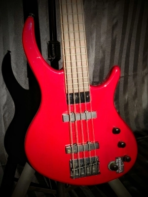 Epiphone - TBD5TRBH Toby Deluxe 2