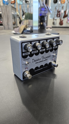 EarthQuaker Devices Disaster Transport Legacy Reissue | Long