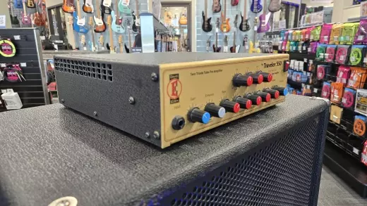 EDEN TRAVELER PLUS 550W BASS HEAD 2