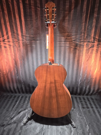 Taylor Guitars - 322E 12FRT VCL 2