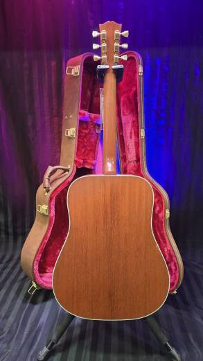 Store Special Product - Gibson - ACOHBFANGH