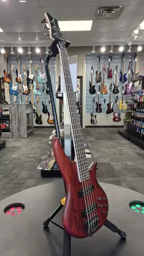 Jackson Guitars - 291-9005-557 2