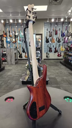 Jackson Guitars - 291-9005-557 2
